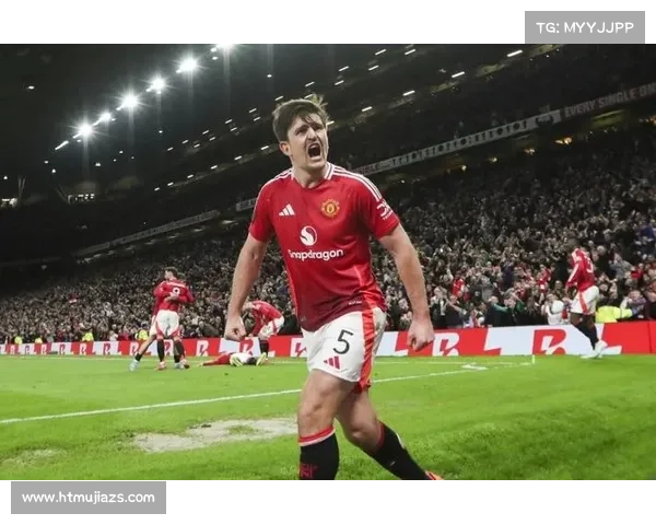 海瑟尔关事件对英超其他球队管理及球迷文化的深远影响分析